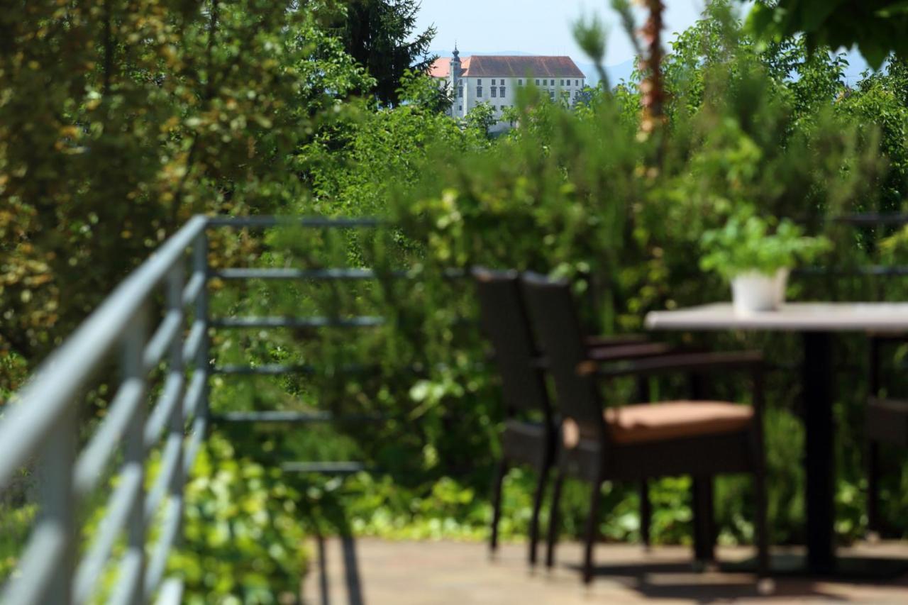 Sobe Grabar Bed and Breakfast Πτούι Εξωτερικό φωτογραφία